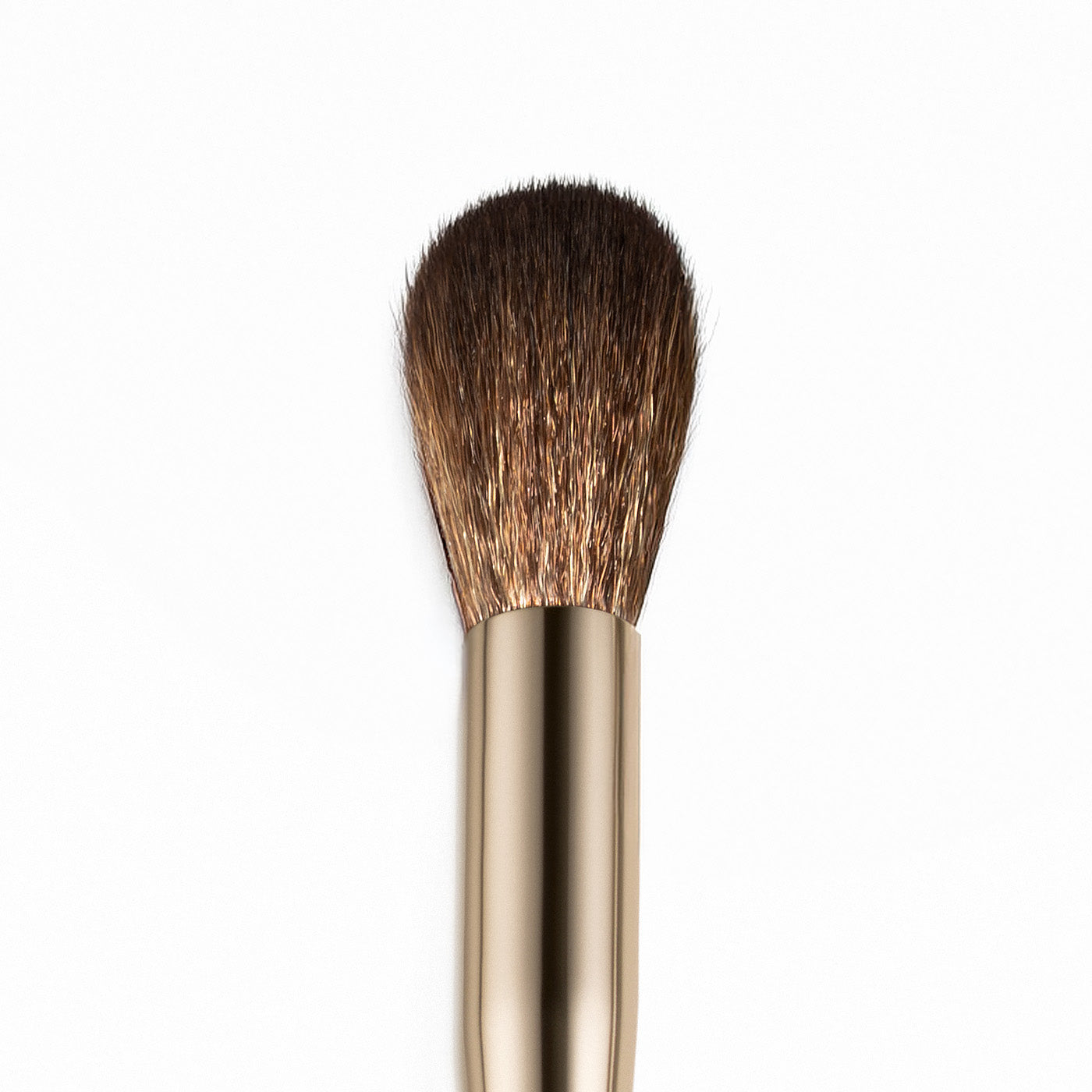 POWDER BRUSH