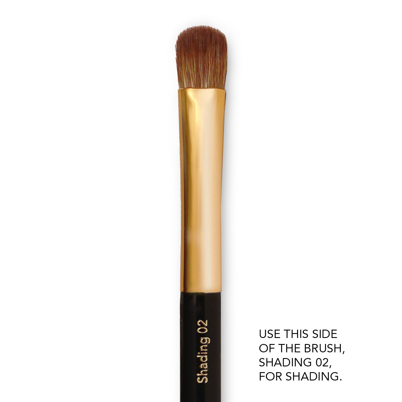 Eye Shadow Brush