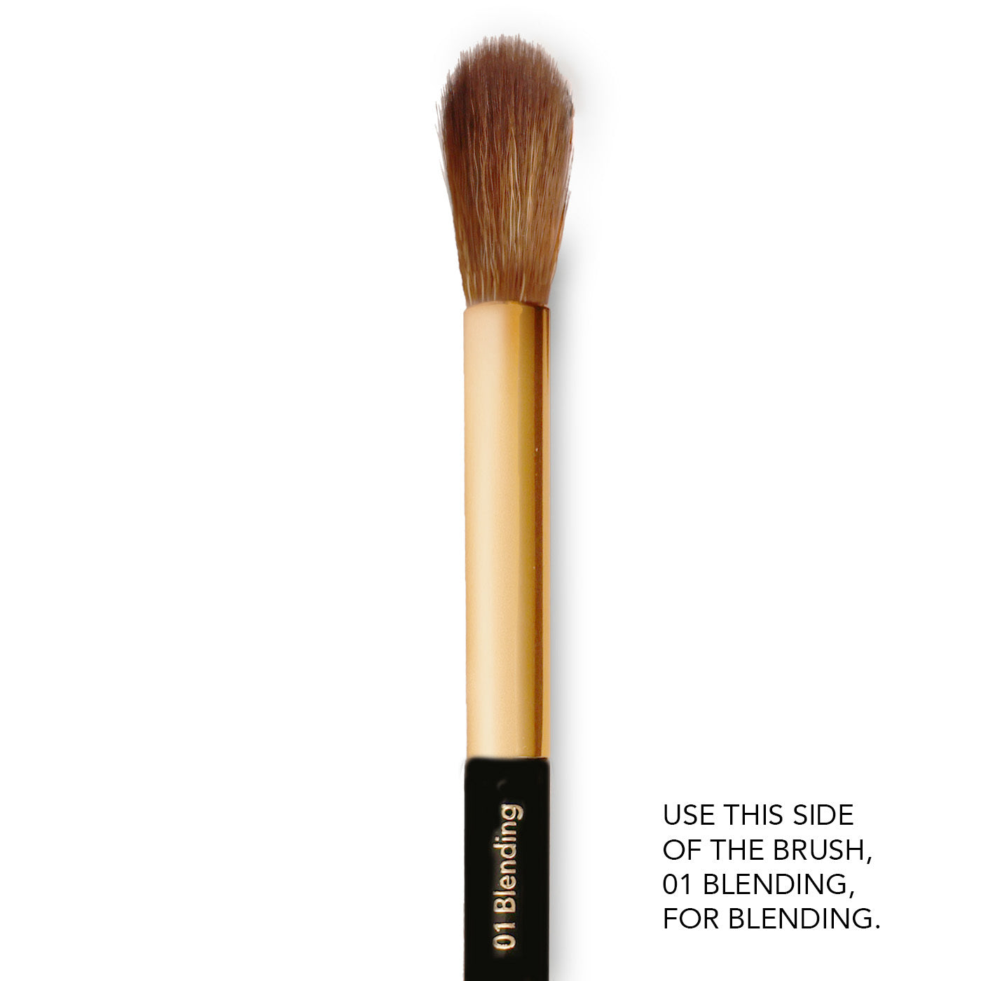 Eye Shadow Brush